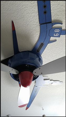48" Hunter Airplane ceiling fan