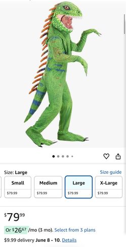 Iguana costume Large size