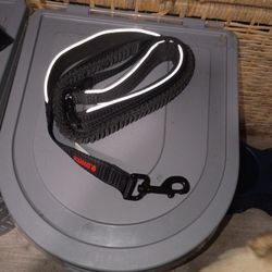 Kong Shock Absorbance Leash & Collar