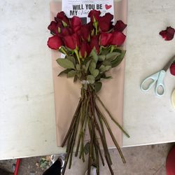 Valentine Proposal!!! ♥️🌹