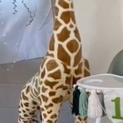 Giant Stuffed Animals