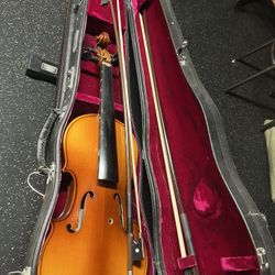 Violins 