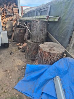 Free redwood logs