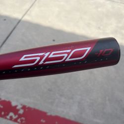 Youth Baseball Bat 