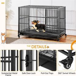 Dog Kennels -Two Available 