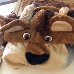 Dog Lion Costume M/L