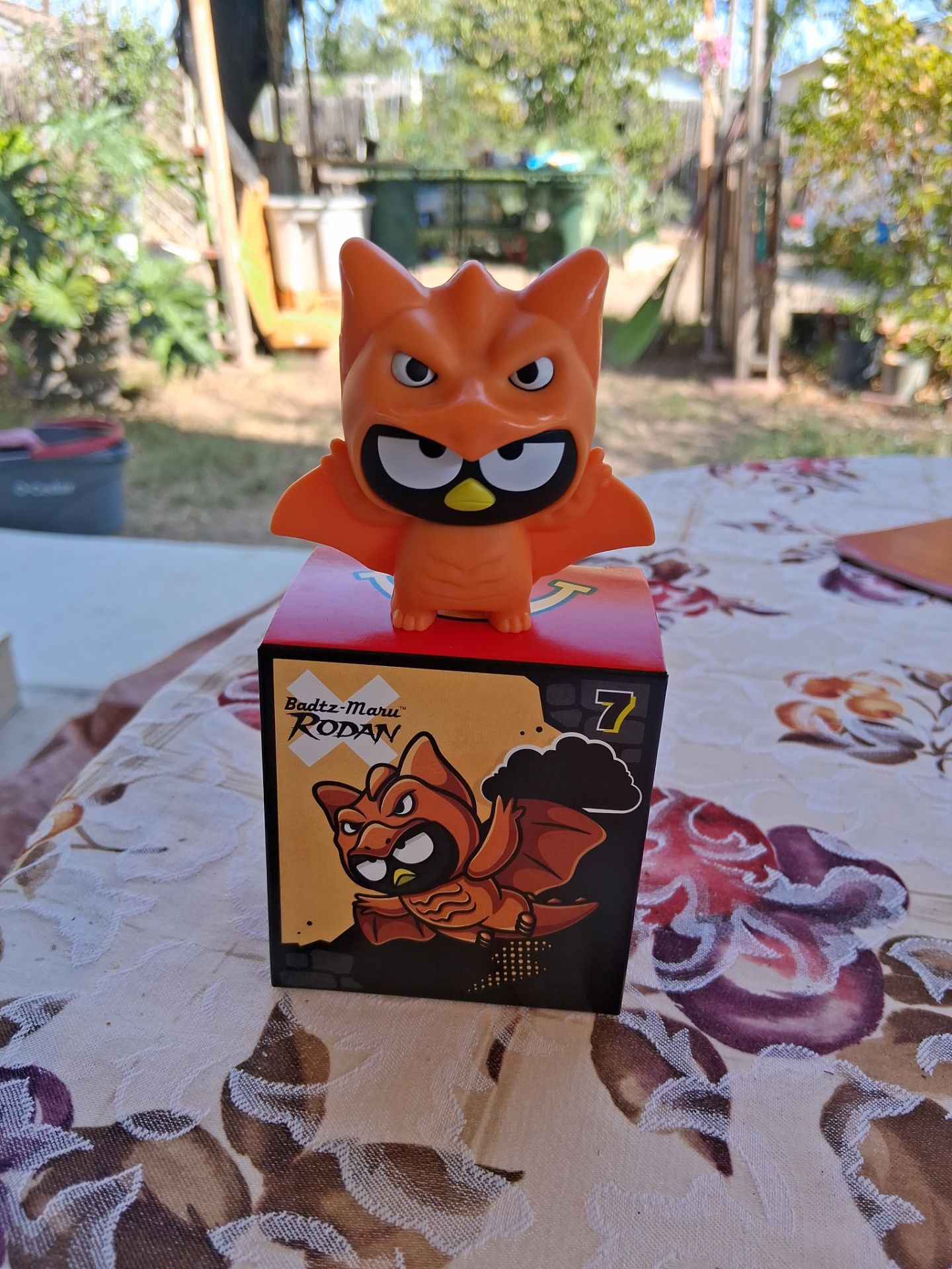 Image #1
