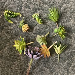 Artificial succulents
