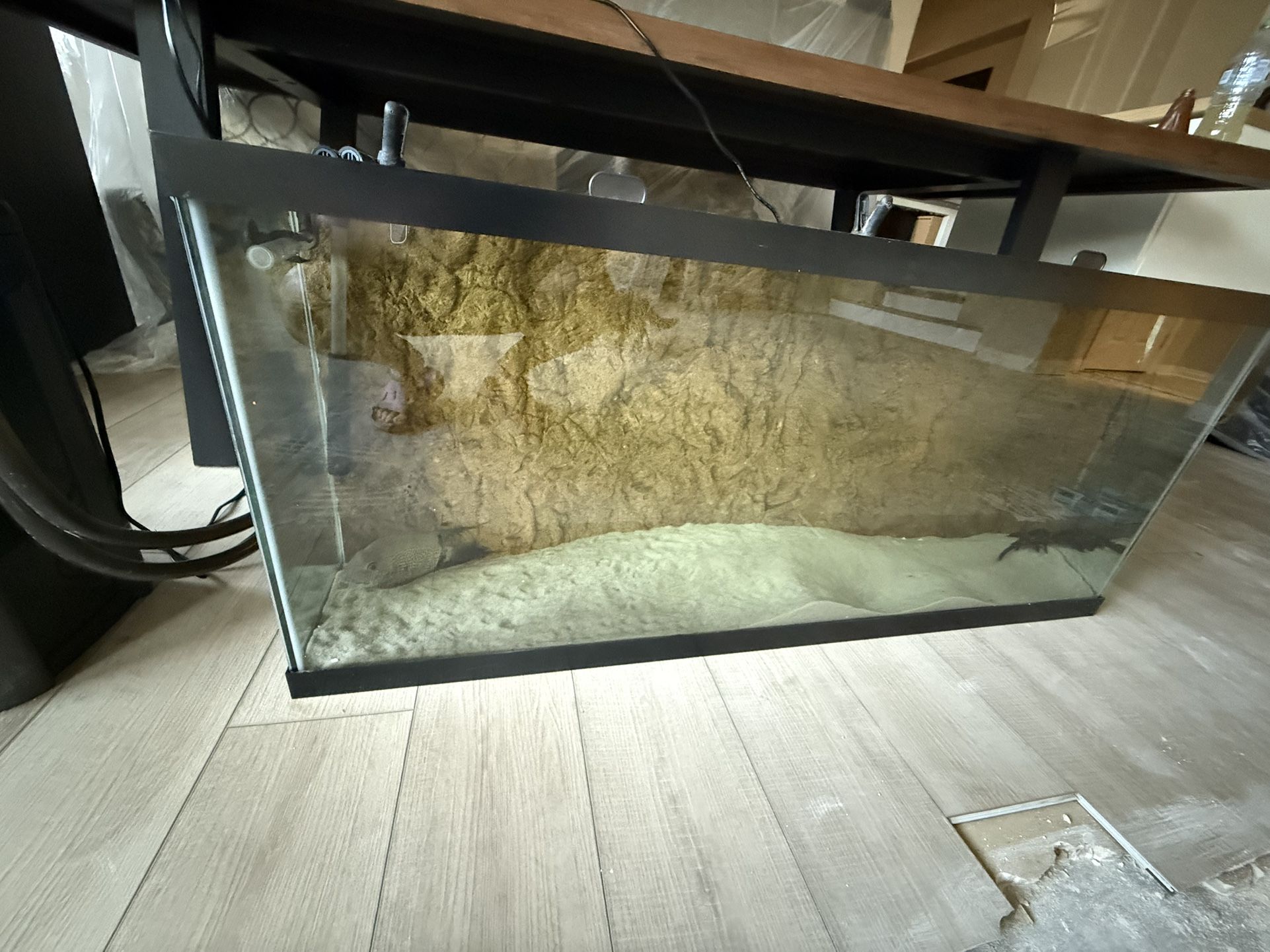 55 Gallon with Big Oase Filter with Thermostat