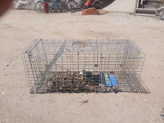 Animal traps , including skunk