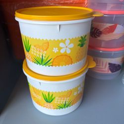 tupperware mexicano 