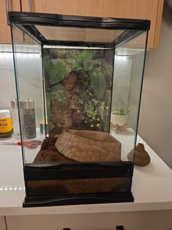 Tropical aquarium tank