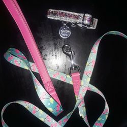 Dog Leash And Collar New