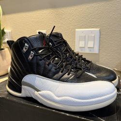 Air Jordan 12 retro