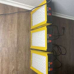 Set Of 3 Grow Lights 