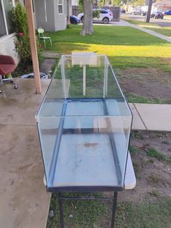 Large Glass Fish Tank Aquarium
