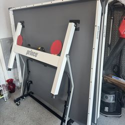 Ping Pong Table