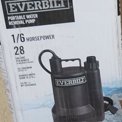Everbilt Water Pump