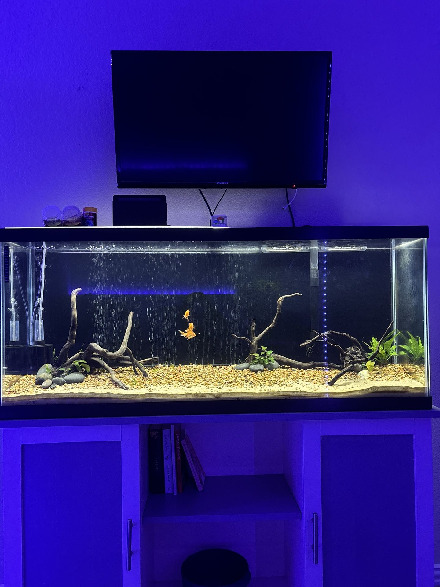 55 Gallon Fish Tank And Stand 