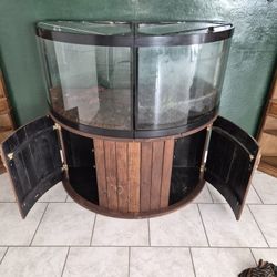 Custom Made Fish Tank Setup 