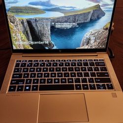 HP Laptop - 13" Elitebook 835 G7