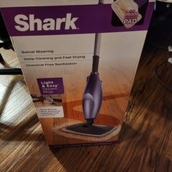 Electric Steam Cleaner