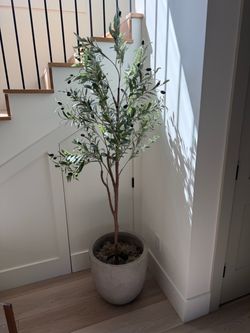Faux Olive Tree in Concrete Planter