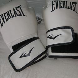 Everlast Boxing Gloves