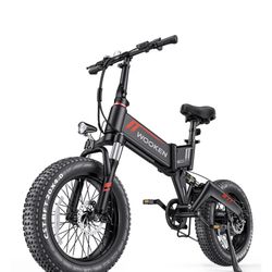 Wooken W-206 fat tire electric bike