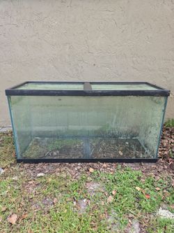 90gallon fish tank