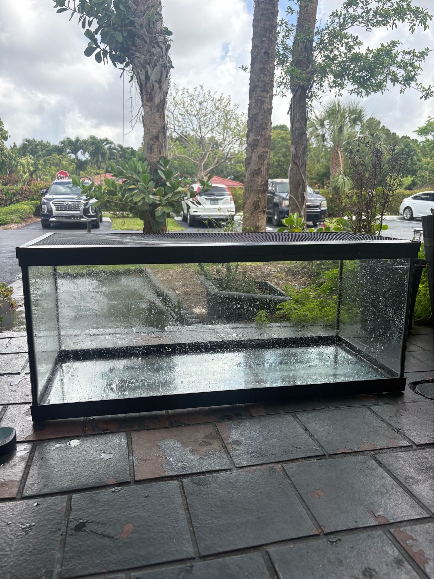 Glass cage with mesh lid