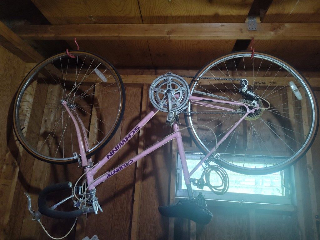 Schwinn Caliente Bike