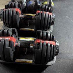 Bowflex Adjustable Dumbbell 