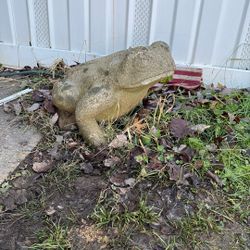 A 1980S Japanese Frog Statue Made Of Concrete Or Something Has Some Chips 