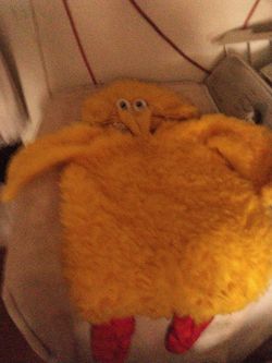 Sesame Street Costume Yellow Bird Only Used Once Still Like Brand New