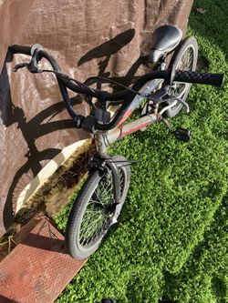 bike
