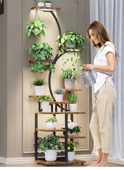 Plant/Picture Stand