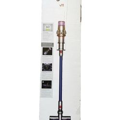 Dyson V11 
