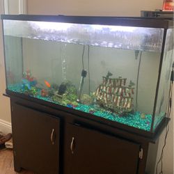 Fish Tank, Koi & Accessories, LED remote lights 