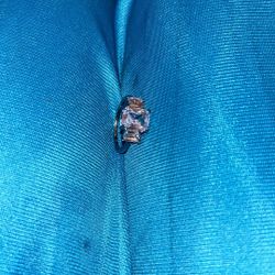 Ring Found At Clean Out