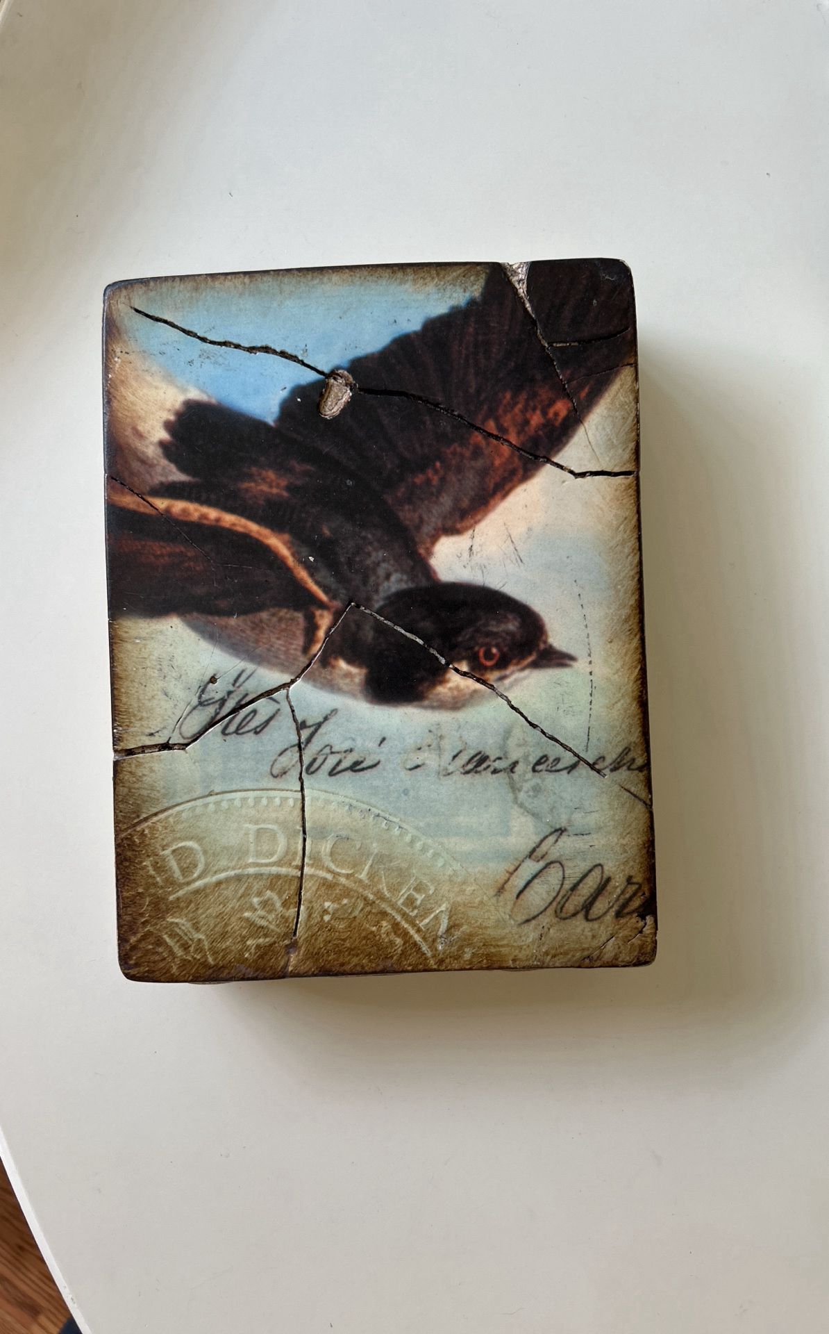 Sid Dickens ~ Bird In Flight