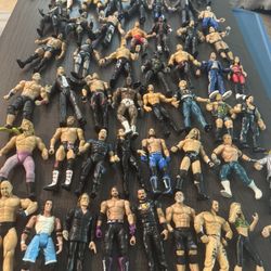 Wwe Wrestlers 