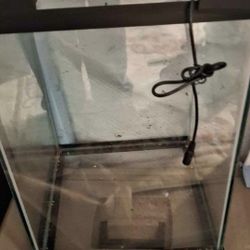 10 Gallon Fish Tank