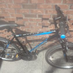 26' ROADMASTER GRANITE CREEK MENS BIKE