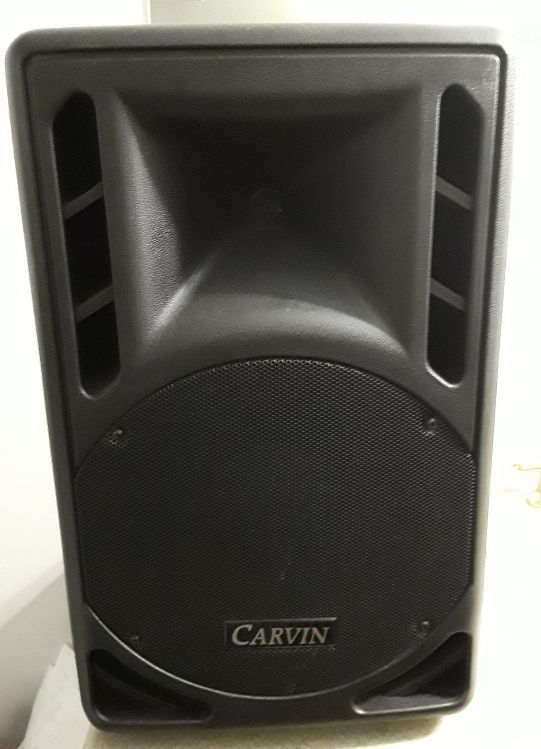 Carvin PM10A powered 2-way speaker cabinet