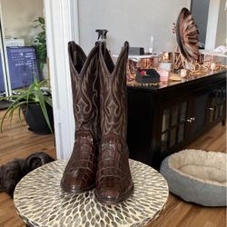 Cattle baron Caiman Alligator