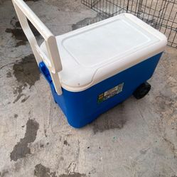 Excellent Condition Coolers