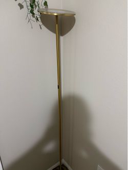 Room Lights (Gold)