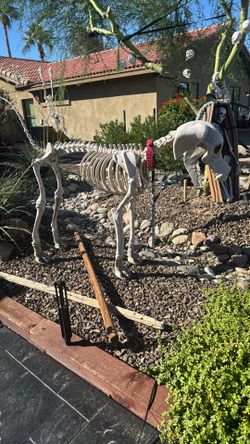 Skeleton Dog. Skullys Dog