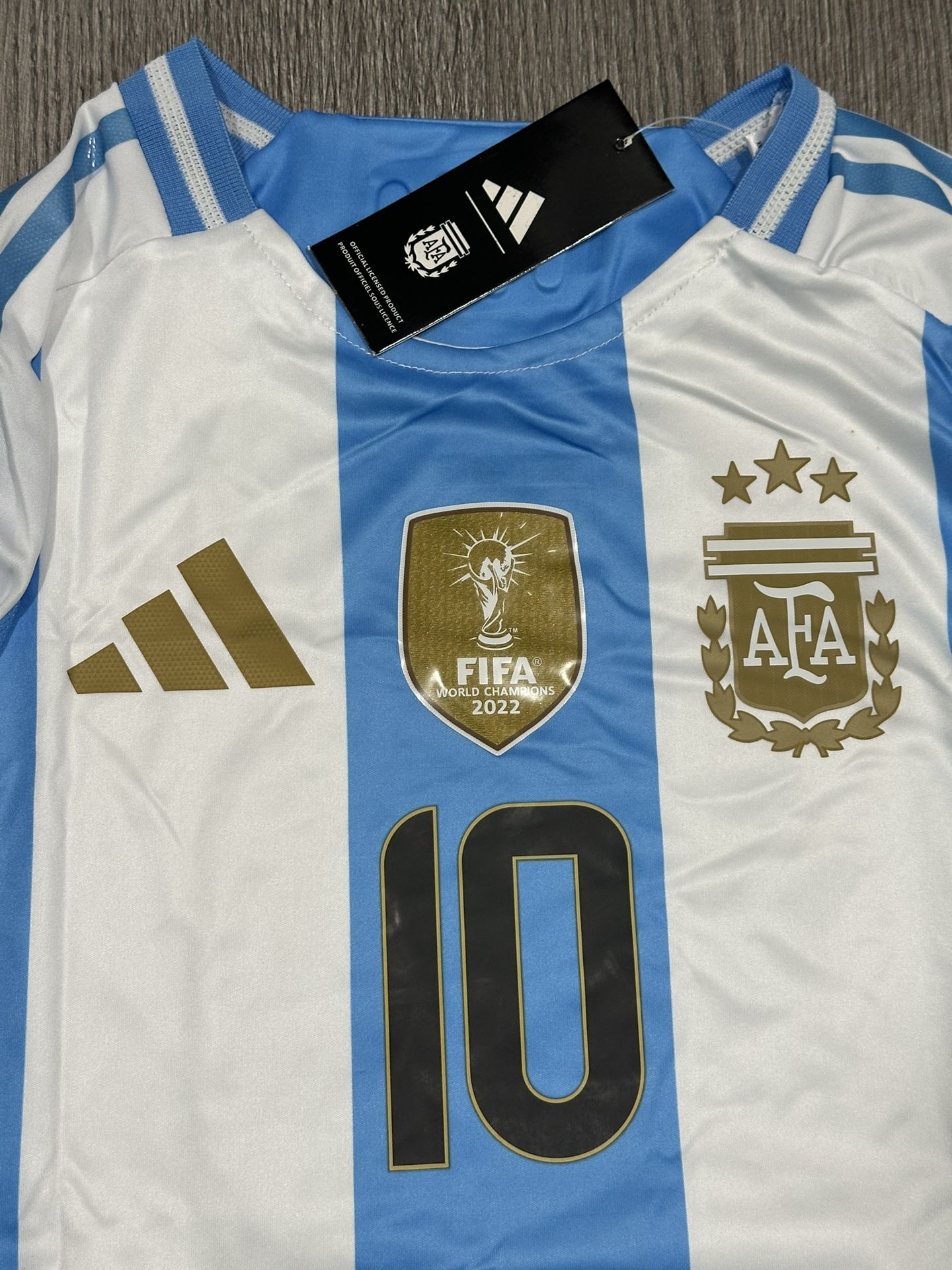CAMISETA DEL SELECIONADO ARGENTINO 2025. MESSI 10. PLAYER VERSION. SIZE MEDIUM.